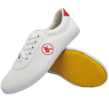Martial Arts & Kung Fu Shoes, Lightweight Slipper, White, EU Size 39, For Taekwondo Boxing Karate