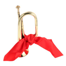Brass Trumpet Horn with Interchangeable Mouthpiece for Band Beginners