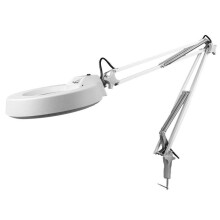 Frequencymagnifying glass with blue lens and white fluorescence  LEDlit loupe (Color: 3) Double comfort double comfort WFJ