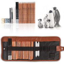 Juego de lápices de dibujo Artistic Journey, 29 piezas, carboncillo y grafito, madera ecológica, bolsa portátil, recambio de alta calidad,