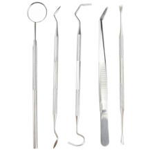 Your Oral Health Ally, Dental Animal Teeth De-scaler, Stainless Steel Instruments For Comprehensive Teeth Cleaning, Ergonomic Design, Non-Slip Grip H