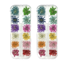 Diseños de uñas únicos y versátiles: Flores secas de colores para decoración de uñas, flores secas reales ideales para el diseño de joyas DIY
