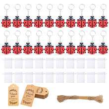 Porte-clés Design coccinelles, 20 pièces, couleur vive, détails