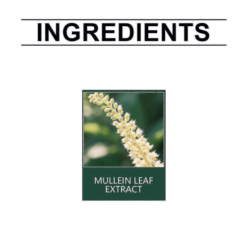 (5PCS) 1-10x Mullein Leaf Extract Drops: Lung Cleanse, Detox & Immunity Boost 1