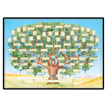 Family Tree Chart  23 x 35 Inch Ancestry Family Tree, 6th Generation Gift