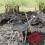 Manure Fork Replacement , Pitchfork , Horse Manure Rake, for Picking  Manure, Plastic Fork Replacement ,A 6