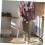 Stainless Steel Mop Replacement Handle Adjustable FourSection Pole with Ergonomic Grip 4