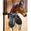 Removable Saddle Rack 2 Pack - Black PVC Coated One Size Durable Horse Tack Storage Solution 2