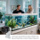 Algae Dispenser Magnetic PP For Aquarium Fish And Turtles, Compact Automatic Feeder, Easy Hands  Feeding 3