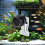 Algae Dispenser Magnetic PP For Aquarium Fish And Turtles, Compact Automatic Feeder, Easy Hands  Feeding 2