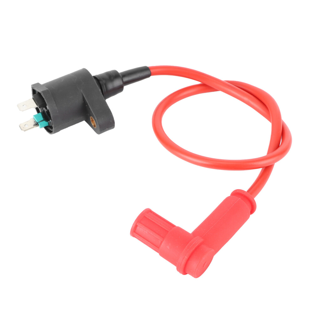 Gx22 Ignition Coil Module For 110Cc 125Cc 150Cc 200Cc And 250Cc Dirt Bikes 3081379442858