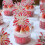 Cake Collar 10M Clear Acetate Cake Strips for Baking Mousse Pastry Wrap  Transparency 4