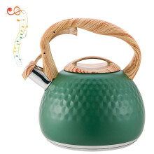 Whistling Stovetop Tea Kettle 3L Stainless Steel with Loud Boil Alert and Retro Pink Green Design