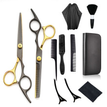 Elegante set per acconciature: forbici in acciaio inossidabile con tensione regolabile, forbici professionali per tagli da salone, kit da 11 pezzi