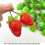 Artificial Strawberry Simulation Fake Fruit Model-Red 3