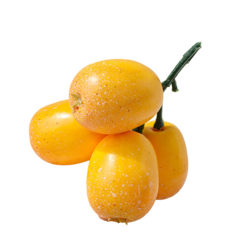 Artificial Loquat Simulated Loquat Fruit Model Suitable-4 forks