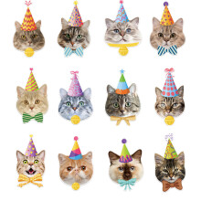 Pack of 12 Kitten Swirls Ceiling Decoration Animal Swirls Spring