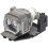 Lamp Compatible Replaces LMPE191 Replacement Projector Lamp 2