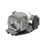 Lamp Compatible Replaces LMPE191 Replacement Projector Lamp 1