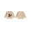 (3-6 Months, Khaki) Sudadera de Halloween cuello redondo. 2