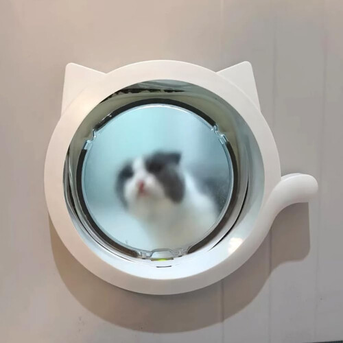 Cat Flap Door Plastic Automatic Magnetic With 4 Locking Modes For Interior Doors 2