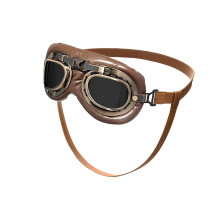 Lunettes de protection rétro pour chiens de compagnie,-3
