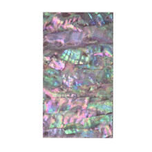 Aesthetic Sticker for Scrapbooking Abalone Shells Sticker-4