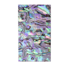 Aesthetic Sticker for Scrapbooking Abalone Shells Sticker-5