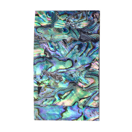 Abalone Shells Sticker Aesthetic Sticker for Scrapbooking-1