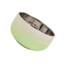 Medium Capacity 304 Stainless Steel Bowl with Insulation-Green