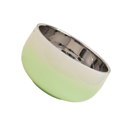 Medium Capacity 304 Stainless Steel Bowl with Insulation-Green