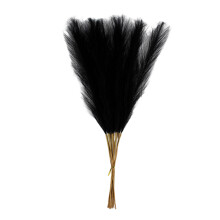 30Pcs Artificial Pampasgrass Realistic Pampasgrass Dried-Black