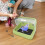 Chick Brooder Box Temperature Adjustable Warmer Transparent Nesting Enclosure Safe Heating Pad For Baby Chicks Green 3
