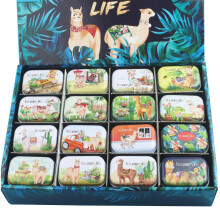 Mini Tin Box with Hinged Lid for Crafts,Learning