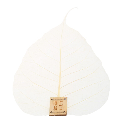 Natural Bodhis Leaf Teaes Filter Leaf Teaes Meshs Strainer