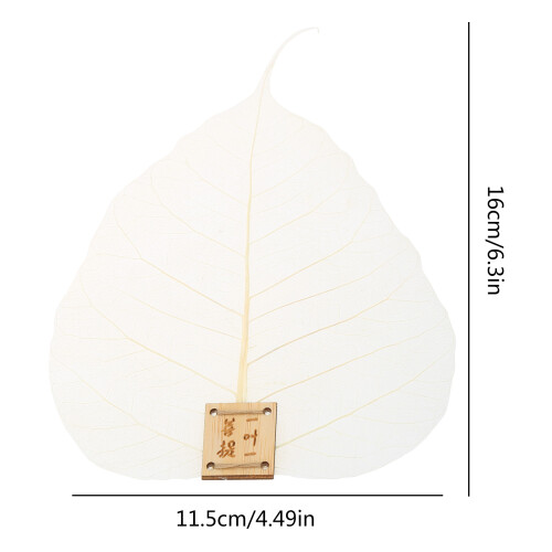 Natural Bodhis Leaf Teaes Filter Leaf Teaes Meshs Strainer 1