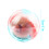 Interactive Dog Toy Auto Rolling Clear-Hamster Glowing Ball 3