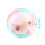Interactive Dog Toy Auto Rolling Clear-Hamster Glowing Ball 6