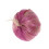 Artificial Garlic Ornament House Kitchen Party Pub-White 6
