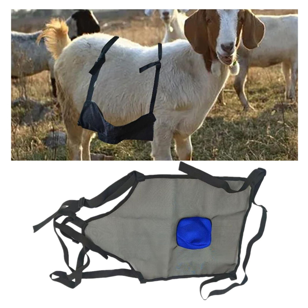 Goat Breeding Apron For Sheep And Goats, Adjustable Strap, Anti Mating Skirt, Blue, Prevent Unwanted Breeding 9347817624649