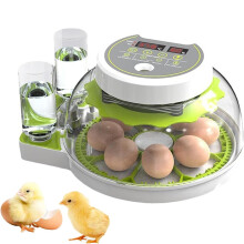 Egg Incubator 8/18 Model, Automatic Turner & Humidity Control, Quail Hatching, 360 Degree View, For Poultry, 8 Pcs