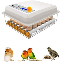 Fully Automatic Mini Incubator For Hatching Turkeys Geese Quail And Chickens, 36 Egg Capacity Dual Power Supply