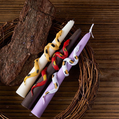 Moules en Silicone de serpent de papillon de-Bougie papillon 2