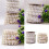 Artificial Shells Pearls Beads 9m Long for Jewelry-Bee white 3