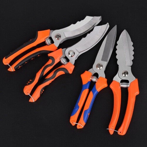 Garlic Scissors with Ergonomic Soft Handle for Efficient Garlic Clove Cutting in Kitchen 1