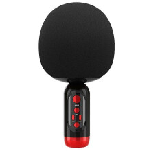 Microphone sans fil K2 compatible Bluetooth, haut-parleur, tête de champignon, version anglaise