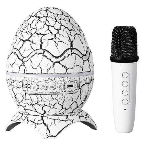 Ηχείο Bluetooth Καραόκε για το Σπίτι Καραόκε Μικρόφωνο Εξωτερική Κατασκήνωσ