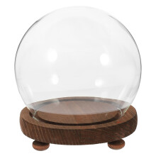 Glass Cloche Dome with Wooden Base for Preserved Flowers, Succulents and Decorative Displays