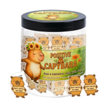 Capybara Affirmation Jar with 60 Positive Cards, Cute Motivation Gift for Adults and Kids