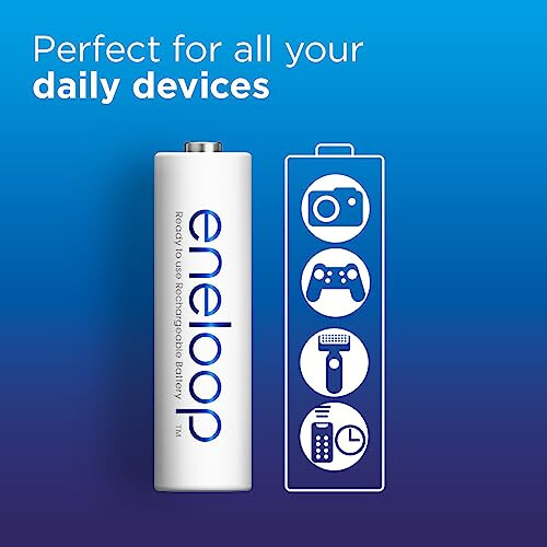 eneloop, AA/Mignon, Rechargeable Battery, Pack of 1